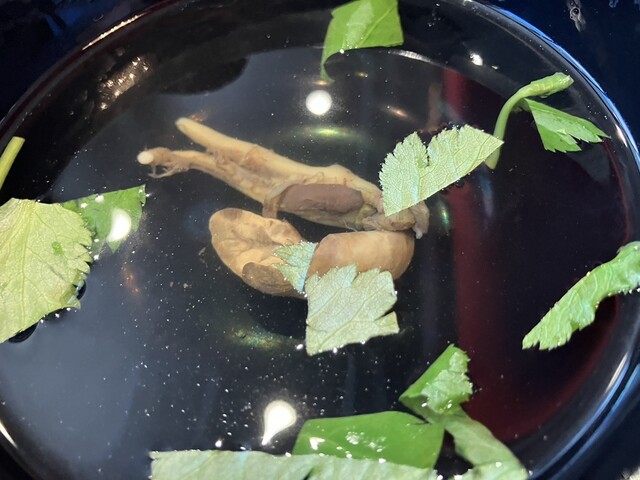 個亭 この花（【旧店名】ドリームズ・ハート） - 白石蔵王（バー）の写真