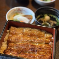 鰻 十和田 - 