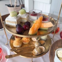 Varmen - 