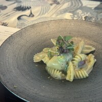 タケル クインディチ(LOQUAT) 西伊豆 - 