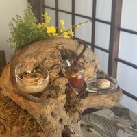 タケル クインディチ(LOQUAT) 西伊豆 - 