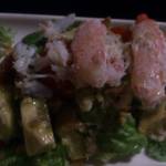 エゾットリア - 