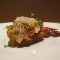 フィエルテ - 愛知県産 手長海老/北海道産 雲丹/ズッキーニ