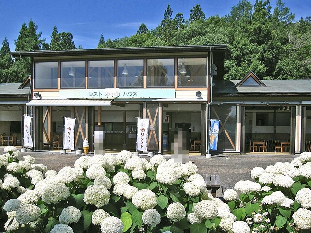 どんでん平ゆり園 - 萩生（その他）の写真