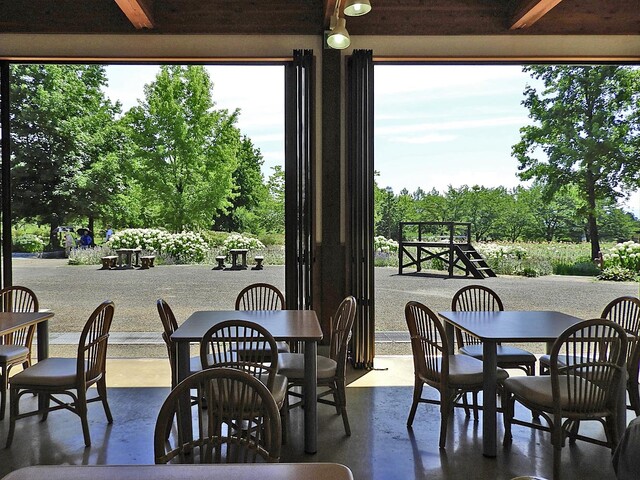 どんでん平ゆり園 - 萩生（その他）の写真