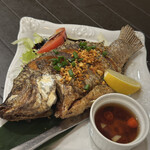 ニューナナイズ - 