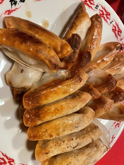 Hiroshima Gyoza RED DRAGON Kojo Chokubai Gyoza Senmonten photo 2