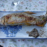 杉ケ瀬ヤナ - 鮎の塩焼き。特大はそこそこの大きさでした。
