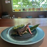 飛騨季節料理 肴 - 