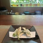 飛騨季節料理 肴 - 