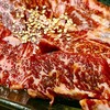 焼肉ホルモン 炎風 - ハラミ