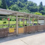 ドライブイン刈谷田 - 流しソーメン小屋