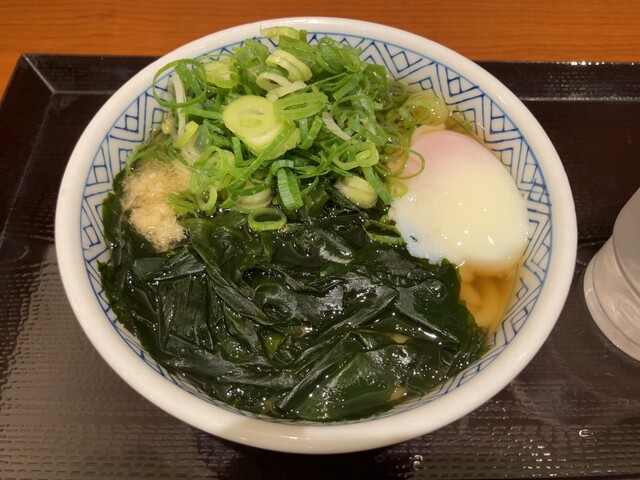 Sunada Dondon Hakozaki T-Cat Ten photo 3