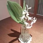 ふくの季 - 25回目Fleur