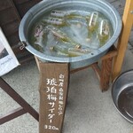 台ヶ原金精軒 - 