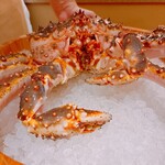 かにじぇんぬ 北のはなれ - 太い爪で蟹パンチを食らわせてきました