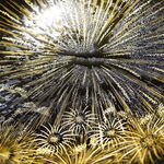 料理屋 植むら - 