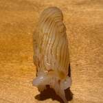 寿し おおはた - 