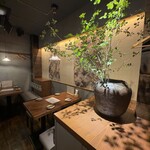 三茶 ユキツバキ - 