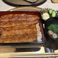 うなぎ 目白ぞろ芽 - 