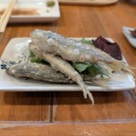 らーめん森や。 - 