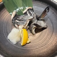 別邸 きときと - 