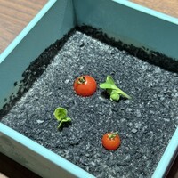 恵比寿ビストロ 猫も杓子も - 