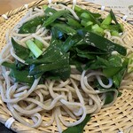 鹿沼そば 大越路 - 