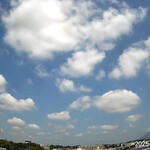 インデアンレストラン  ニューミラ - 