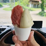 ルヒエル - ジェラート3種600円(ゴールドキウイ、スイカ、ナッツ)