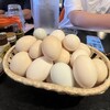 のどか牧場直営 たまご屋キッチン