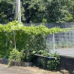 インデアンレストラン  ニューミラ - 