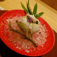五本木 響 - 