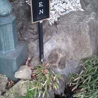 現代仏蘭西料理 朔詩舎 - 