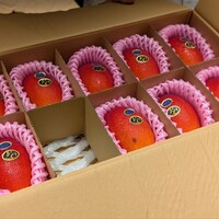 唐渡 - 