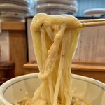 手打うどん かとう - 