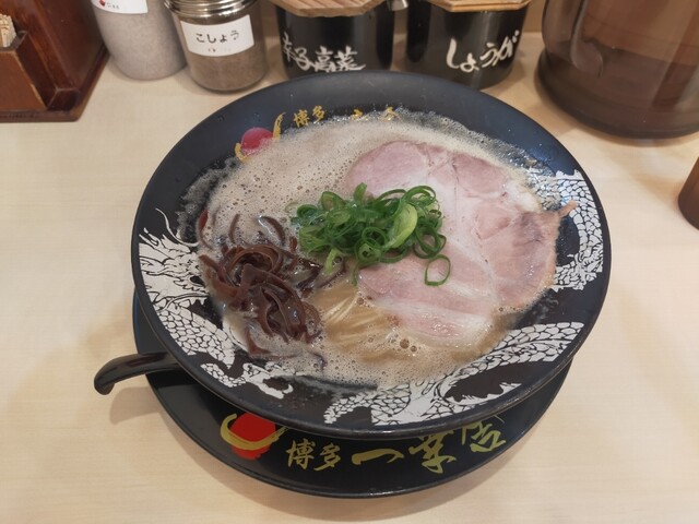 Hakata Ikkosha Kyoto Ramen Koji Ten photo 5