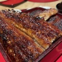 炭焼 うな富士 有楽町店 - 