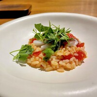 cenci - ③トマト 蛸 ケッパー サラダセロリ リゾット