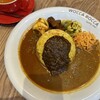 WOCCA ROCCA curry and... NU CHAYAMACHI PLUS