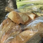ぱんのかぶ - ミニフランスは 120円とお買得
