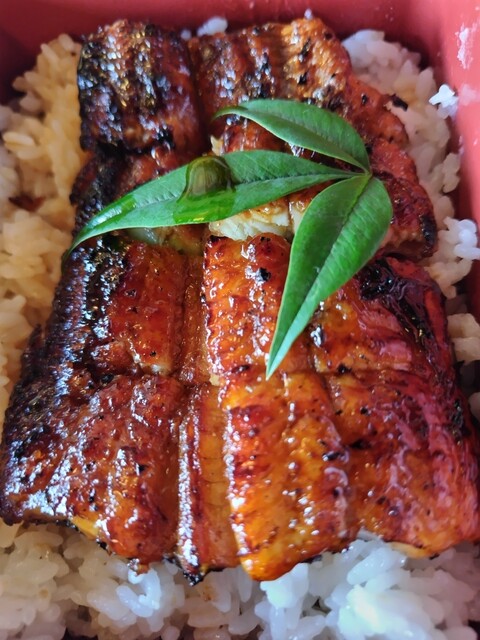 うなカフェ 555 - 粉河/うなぎ | 食べログ