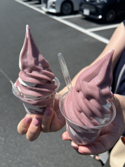 cafe vibras（ヴィブラス） 陸中門崎カレー &ndash; 岩手・一関の隠れ家カフェ