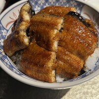 炭焼きうなぎ・かしわ 登河 - 