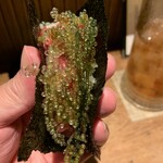 奥新 鮨屋のうおきん - 