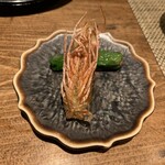 奥新 鮨屋のうおきん - 