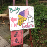 Buddy - 