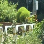 インデアンレストラン  ニューミラ - 