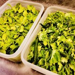 SPICY CURRY 魯珈 - 