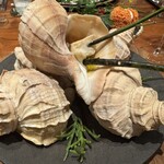 Fujiya 1935 - 真つぶ貝とすじのりのソース。真つぶ貝は貝殻の中にオイルでアヒージョになっています。添えてあるすじのりのソースにつけていただきます。これも食感が絶妙。貝の身を刺しているのはクロモジの枝。